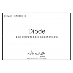 Etienne Hendrickx Diode - Printed version