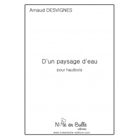 Arnaud Desvignes D'un paysage d'eau -printed version