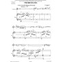Ivan Boumans Promenades - pdf
